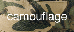 camouflage