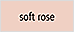 soft rose