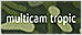 multicam tropic