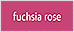 fuchsia rose