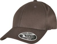 6 Panel Bio Kappe Flexfit | 110OC