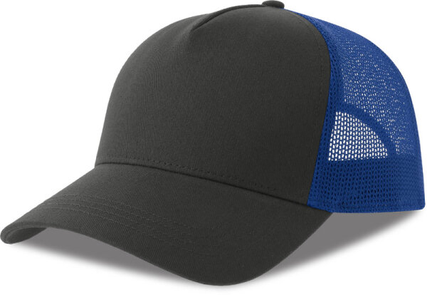 dark grey/royal