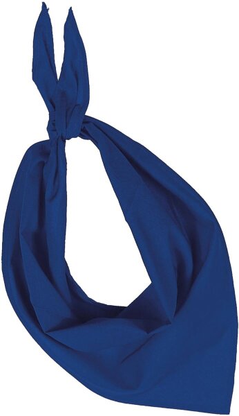 light royal blue