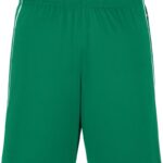Basic Team Shorts Daiber | JN 387