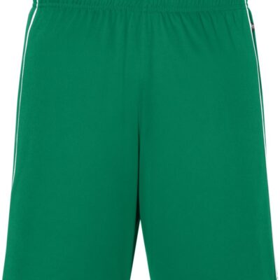 Basic Team Shorts Daiber | JN 387