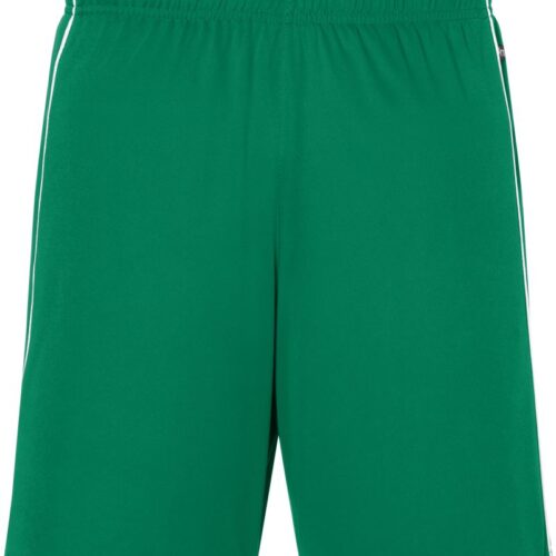 Basic Team Shorts Daiber | JN 387