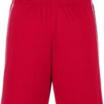 Basic Team Shorts Daiber | JN 387