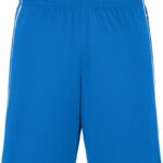 Basic Team Shorts Daiber | JN 387