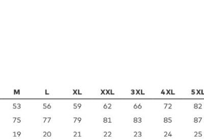 Herren Premium Bio T-Shirt Promodoro | 3090 (7XL-8XL) Grössentabelle