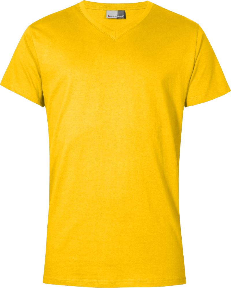 Herren Premium V-Ausschnitt T-Shirt Promodoro | 3025