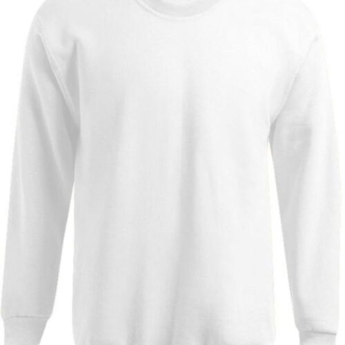 Herren Sweater Promodoro | 5099