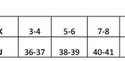 Arbeitsschuhe "Anchor" Premier | PR 910 Grössentabelle