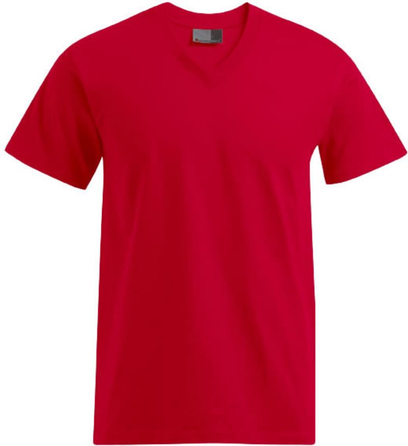 Herren Premium V-Ausschnitt T-Shirt Promodoro | 3025