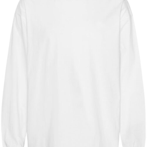 Oversize Bio IC T-Shirt langarm "Tiger" Neutral | T 60050