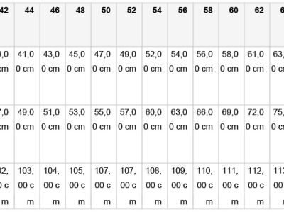 Workwear Jeans Daiber | JN 875 (42-60)