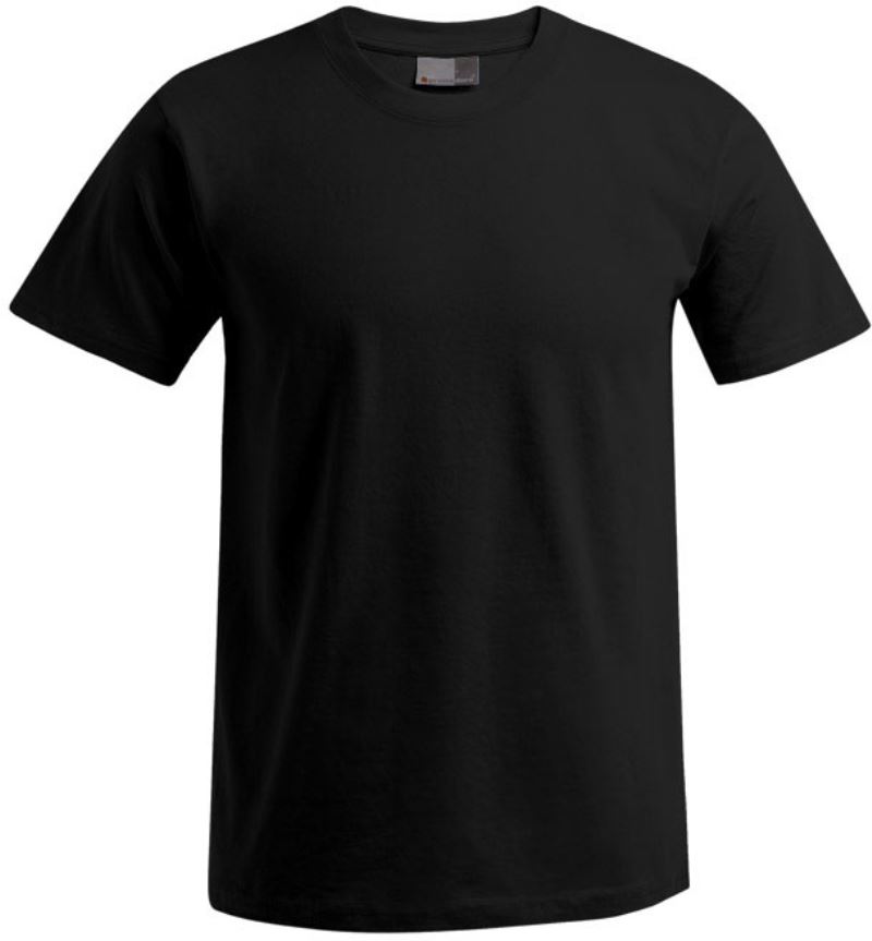 Herren Premium T-Shirt Promodoro | 3099 (7XL-8XL)