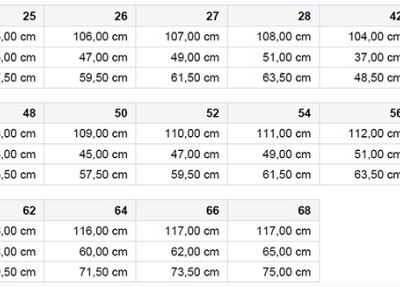 514558C8-D812-498F-8BE7-4A3626152C74 Winter Workwear Hose - Strong Daiber | JN 1861