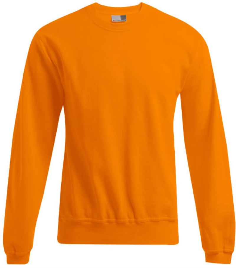 Herren Sweater Promodoro | 2199