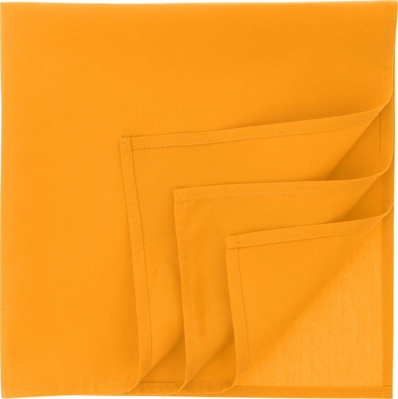 Bandana Atlantis | Bandana Goal-S