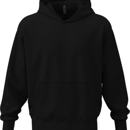 Schwerer Oversize Unisex Kapuzen Sweater Next Level Apparel | N 9307