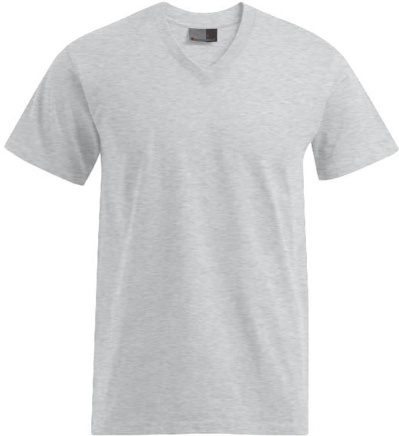 Herren Premium V-Ausschnitt T-Shirt Promodoro | 3025