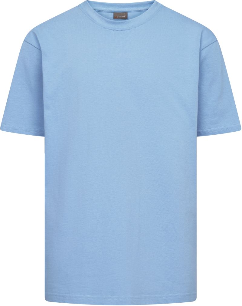 Schweres Unisex T-Shirt Promodoro | 3100