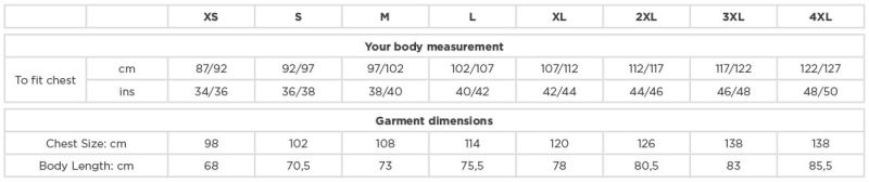 Schweres T-Shirt "Authentic" Russell Athletic | 180M Grössentabelle