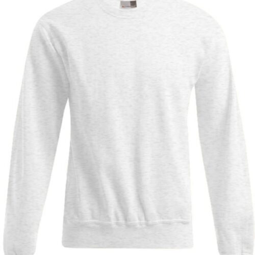 Herren Sweater Promodoro | 2199