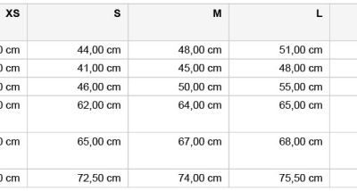 97D02F0D-3D2B-4D2E-AE40-83B33ECD440F Damen Funktionsshirt langarm Daiber | JN 497