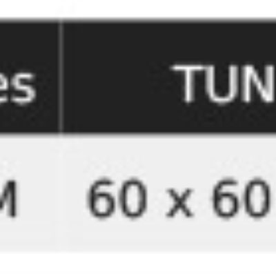 Damen Business Schal NEOBLU | Tara Grössentabelle