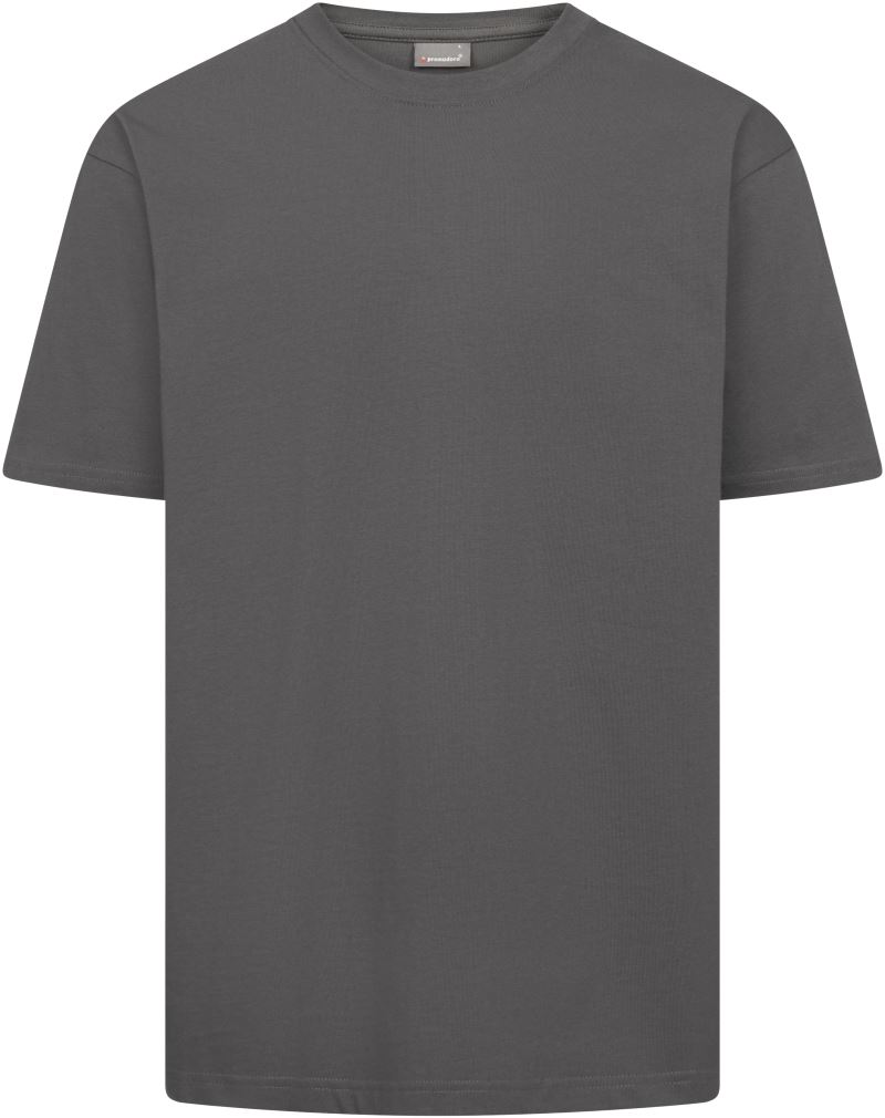 Schweres Unisex T-Shirt Promodoro | 3100