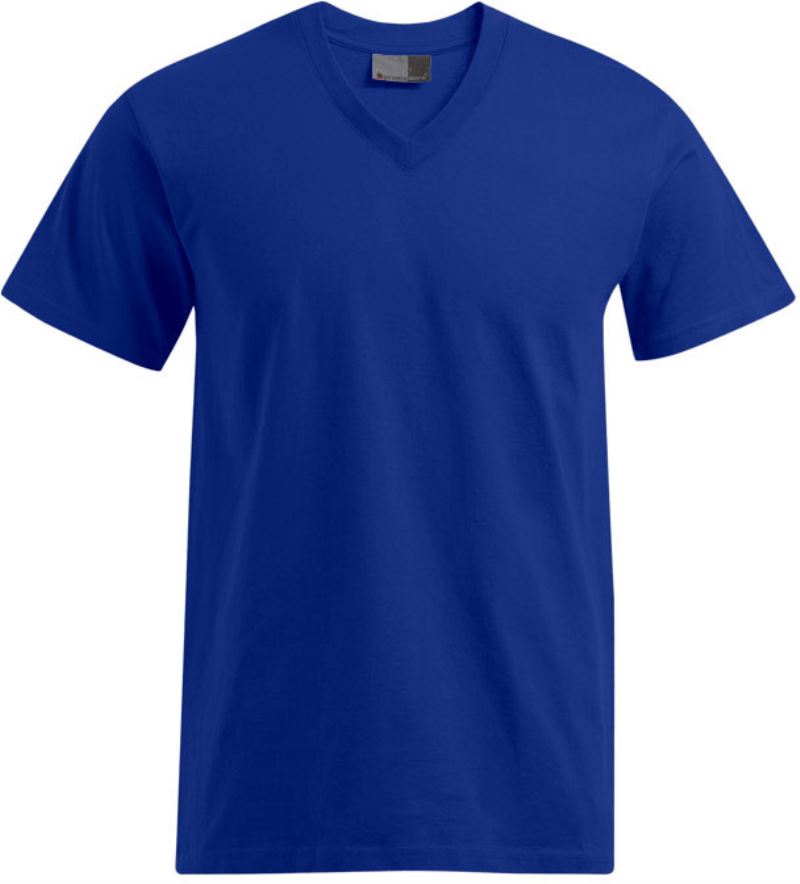 Herren Premium V-Ausschnitt T-Shirt Promodoro | 3025