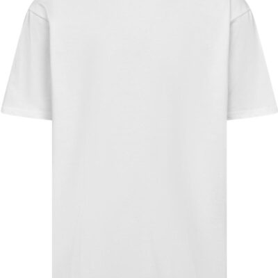 Schweres Unisex T-Shirt Promodoro | 3100