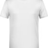 Herren Bio T-Shirt Daiber | 8002