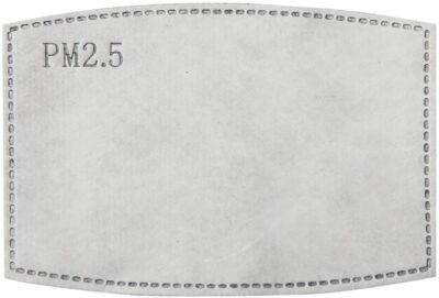 C967B29E-8B38-4331-BDE7-7B34363F73C6 Aktivkohlefilter für Masken 10er Pack Premier | PR 797