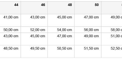 CACDDF10-DDD3-4AA1-A9A2-9D210AD847A8 Workwear Stretch Bermuda "Slim Line" Daiber | JN 1811