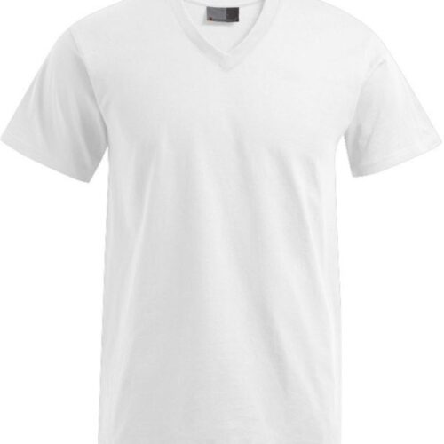 Herren Premium V-Ausschnitt T-Shirt Promodoro | 3025