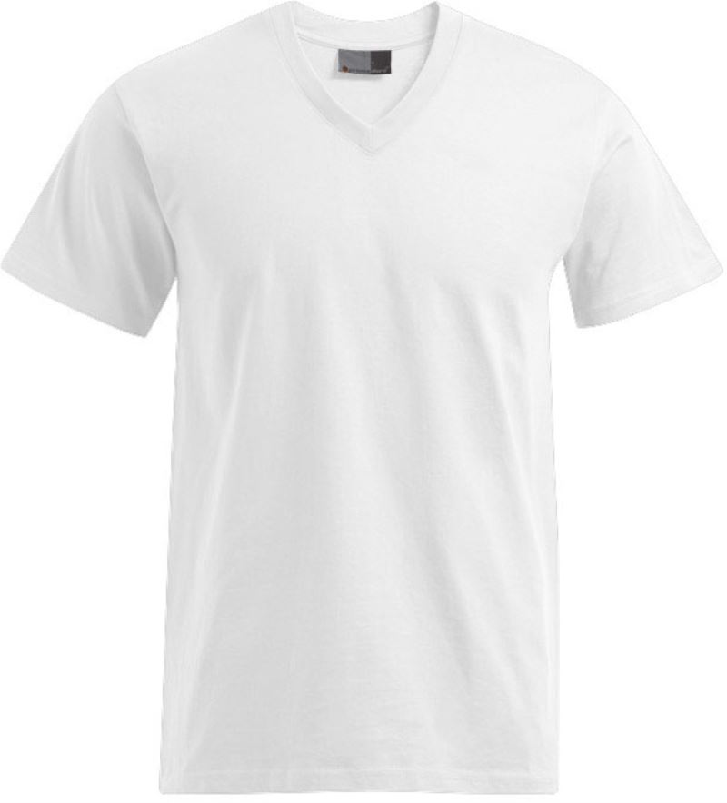 Herren Premium V-Ausschnitt T-Shirt Promodoro | 3025