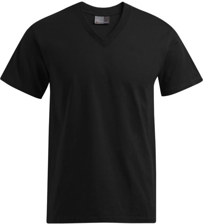 Herren Premium V-Ausschnitt T-Shirt Promodoro | 3025