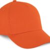 spicy orange