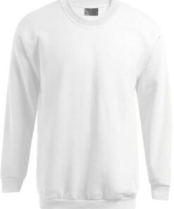 Herren Sweater Promodoro | 5099