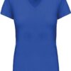 light royal blue