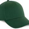 cedar green
