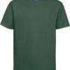 bottle green