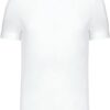 Herren V-Ausschnitt T-Shirt Kariban | K 357
