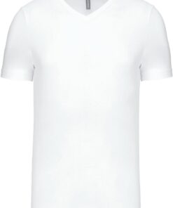 Herren V-Ausschnitt T-Shirt Kariban | K 357