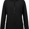 Damen 2-Lagen Kapuzen Softshell Jacke Daiber | JN 1145