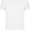 Herren Bio IC T-Shirt Kariban | K 3025IC