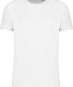 Herren Bio IC T-Shirt Kariban | K 3025IC
