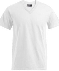 Herren Premium V-Ausschnitt T-Shirt Promodoro | 3025